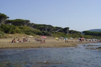 Populonia Populonia