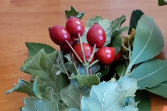 Kerststukje Kerststukje